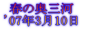 t̉O f07N310