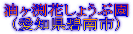 fBYj[][g