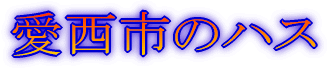 É`K[fu