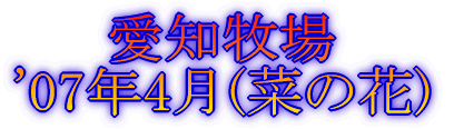 愛知牧場 '07年4月(菜の花)