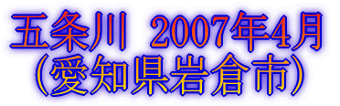 五条川 2007年4月 (愛知県大口町)