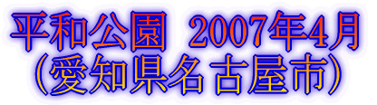 ܏ 2007N4 im)