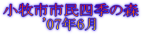 加茂菖蒲園(豊橋市)