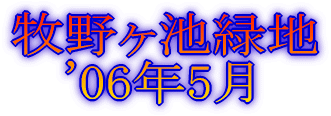 fBYj[][g