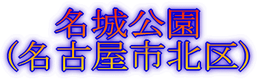 fBYj[][g