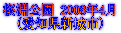 ܏ 2007N4 im)