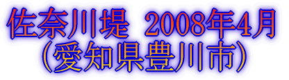 五条川 2007年4月 (愛知県大口町)