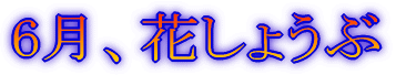 fBYj[][g