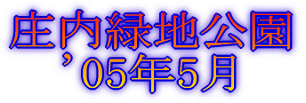 Βn f05N5