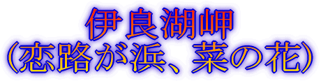 fBYj[][g