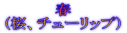fBYj[][g