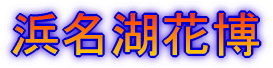 lΉԔ