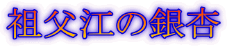祖父江の銀杏