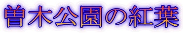 ]،̍gt