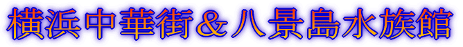 fBYj[][g