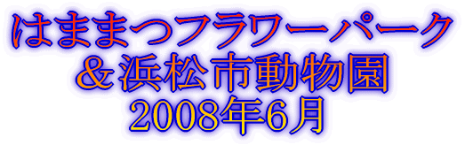 グリーンバレイ 2007年3月