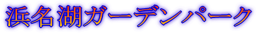 fBYj[][g