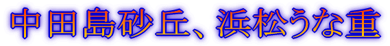 fBYj[][g