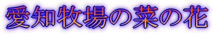 木曽'05年10月 (寝覚ノ床、御岳ロープ、開田)
