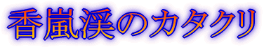 ؑ]'05N10 (QomAx[vAJcj