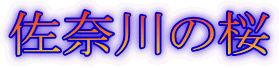 ސ̍