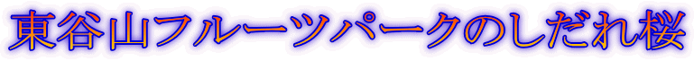 JRt[cp[N̂