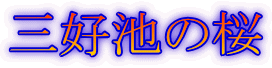 三好池の桜