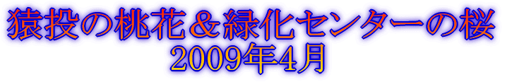 いちごの里 2007年3月
