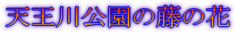 ؑ]'05N10 (QomAx[vAJcj
