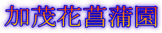 加茂花菖蒲園
