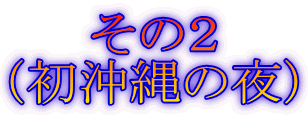 その2 (初沖縄の夜)