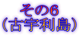 その6 (古宇利島)