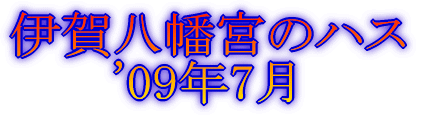 加茂菖蒲園(豊橋市)
