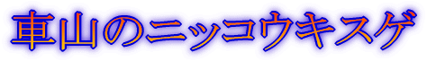 _Ciĥ艀