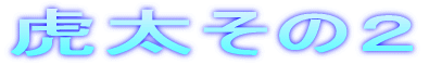 Ց̂Q