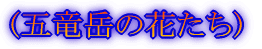 (oR`)