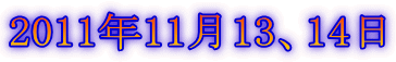 2011N1113A14