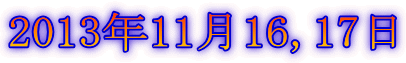 2013年11月16,17日