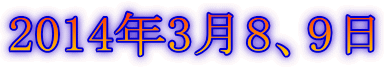 2014年3月8、9日